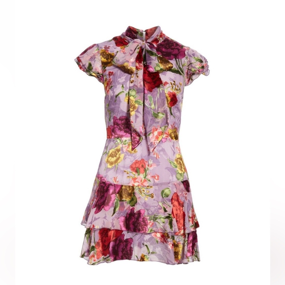 Alice and Olivia Floral Mini Dress - Picture 1 of 5